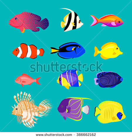 Underwater Fish Stock Images, Royalty.