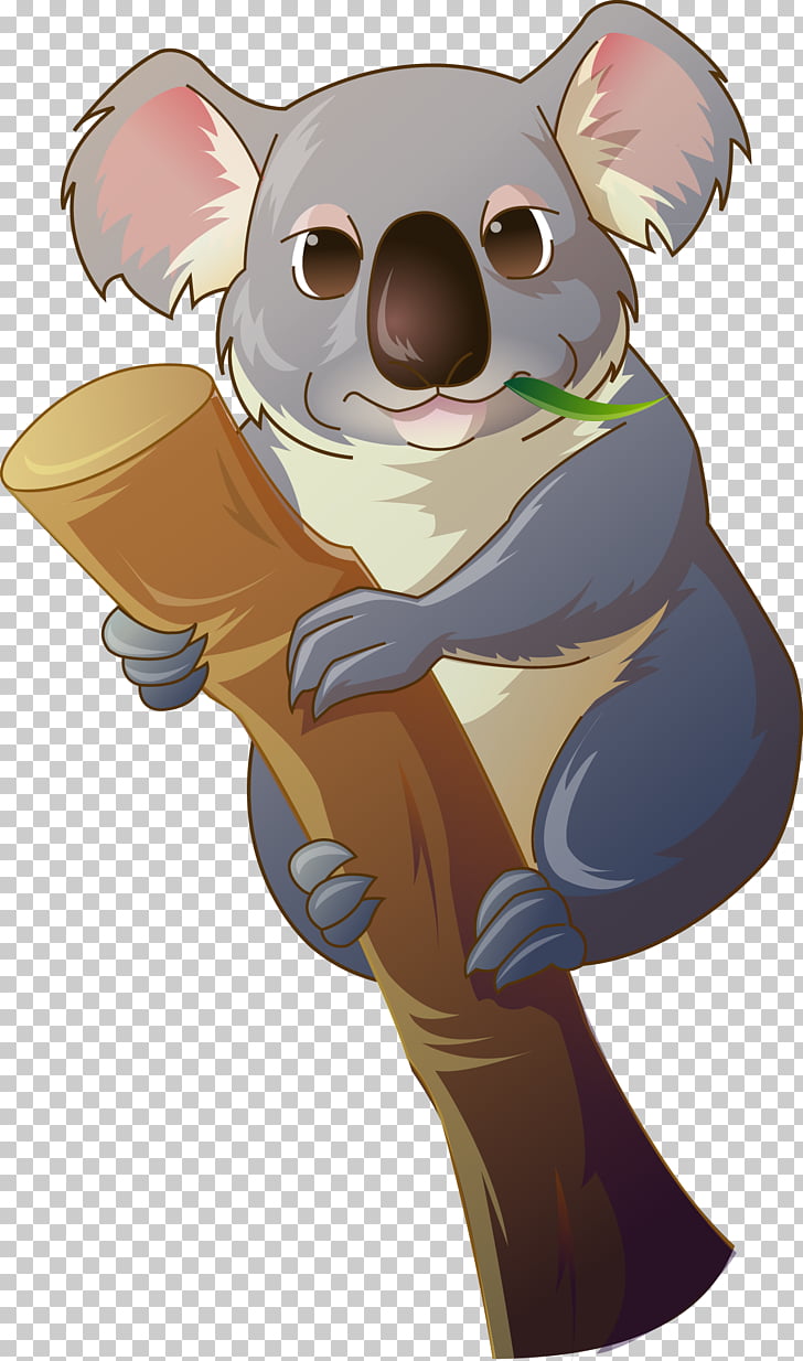 Koala Bear , Lazy koala, koala on branch illustration PNG.