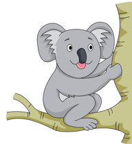 Free Koala Clipart.