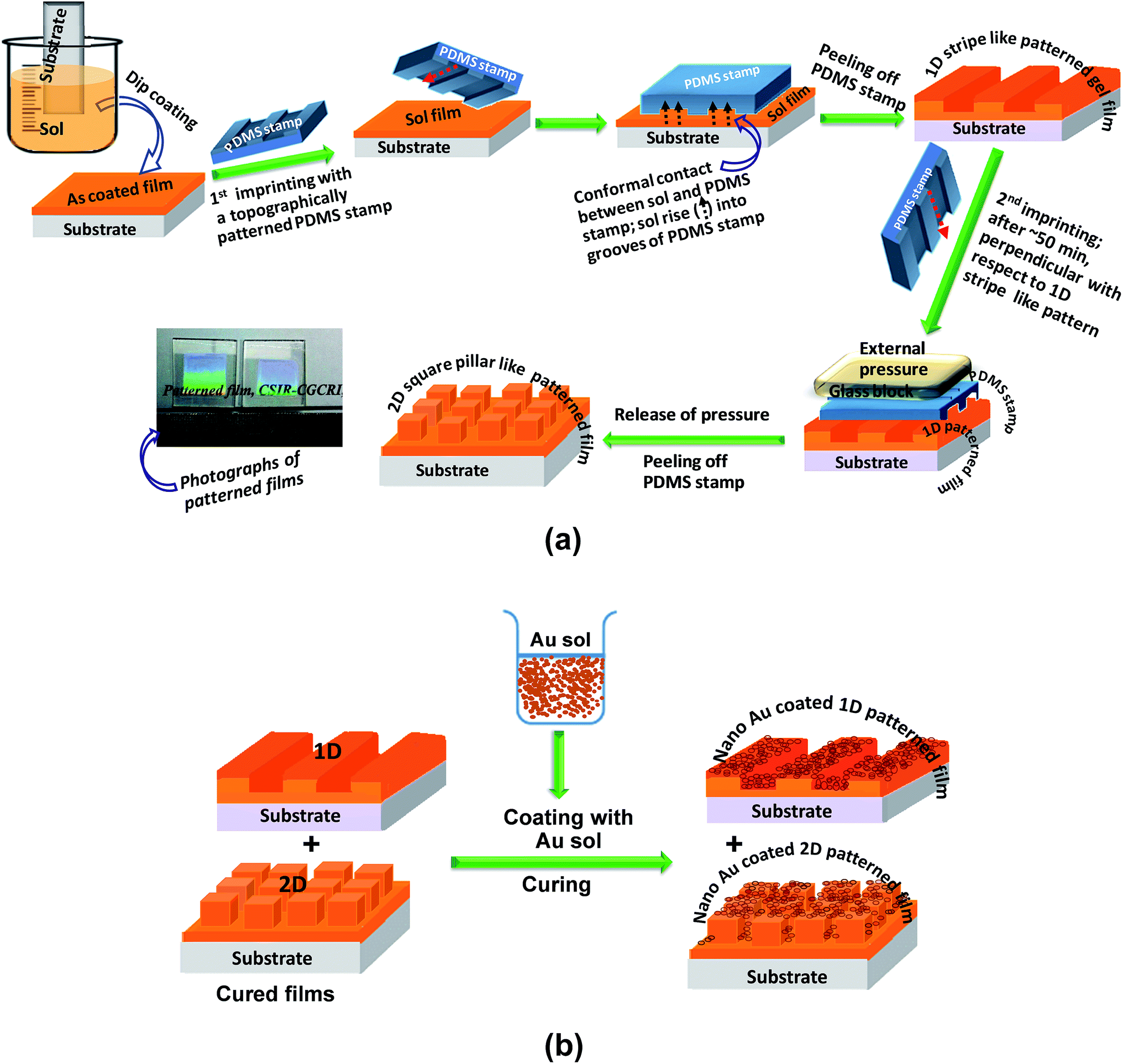 Structural and light coupling characteristics of patterned silica.