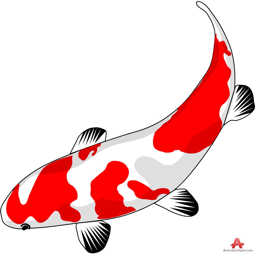 Koi Clipart.