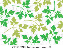 Parsley Clipart Illustrations. 2,636 parsley clip art vector EPS.