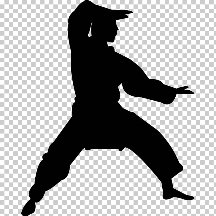 Chinese martial arts Shaolin Kung Fu Karate, mixed martial.