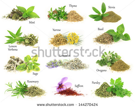 Spice and herbs free stock photos download (424 Free stock photos.