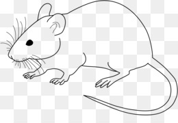 lab mouse clipart 10 free Cliparts | Download images on Clipground 2022