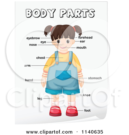 Cartoon Of Boys And Girls With Labeled Body Parts.