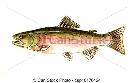Salmon Stock Illustration Images. 8,337 Salmon illustrations.