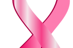 Laço rosa cancer de mama png 2 » PNG Image.