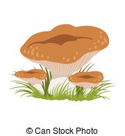 Lactarius Clipart and Stock Illustrations. 58 Lactarius vector EPS.