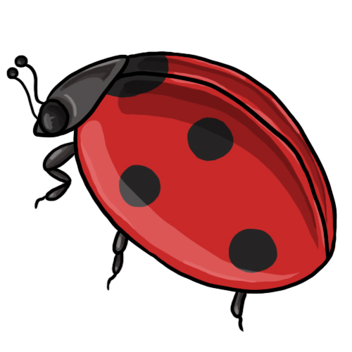 20 FREE Ladybug Clip Art Drawings and Colorful Images.