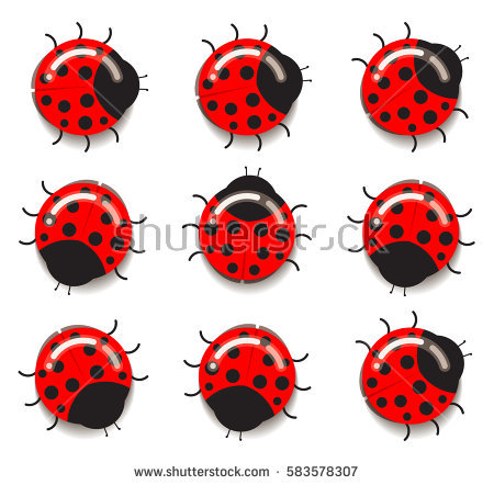 Ladybug Stock Images, Royalty.