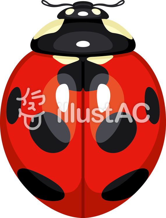 Ladybug Nana Hoshi Tento.