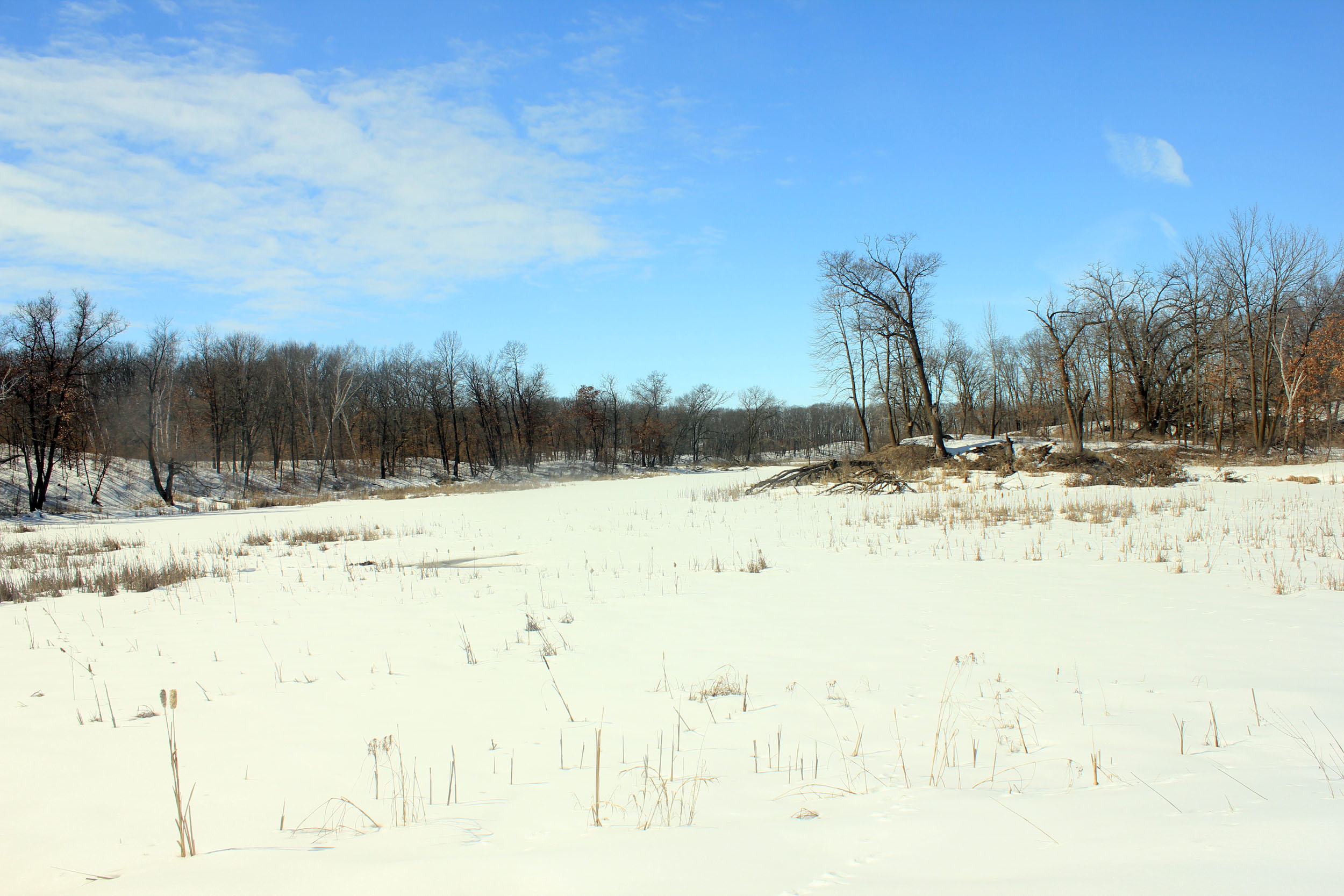 Marsh and lake at Lake Maria State Park, Minnesota.