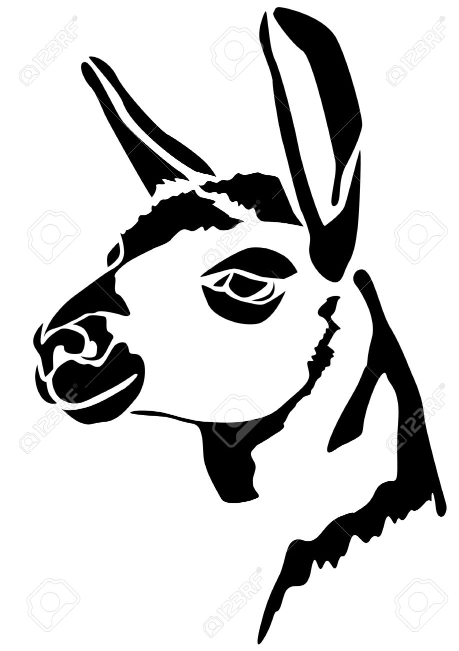 Download Lama head clipart 20 free Cliparts | Download images on ...