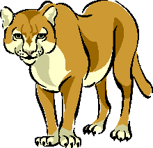 Pumas clipart 20 free Cliparts | Download images on Clipground 2023