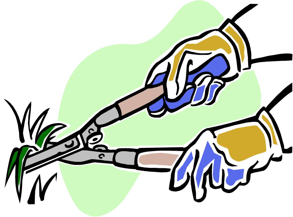 Landscaping Tools Clipart.