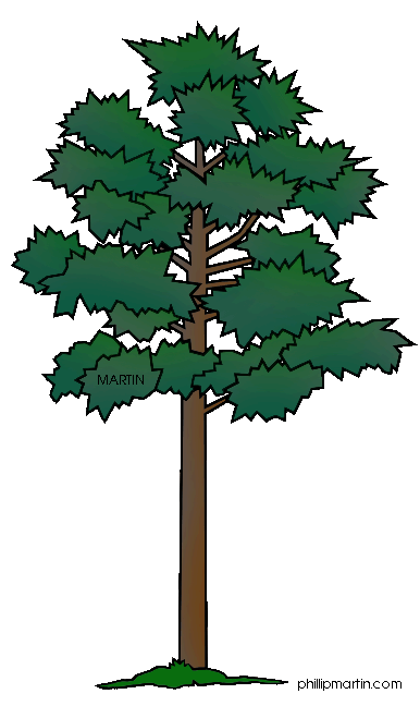 State tree