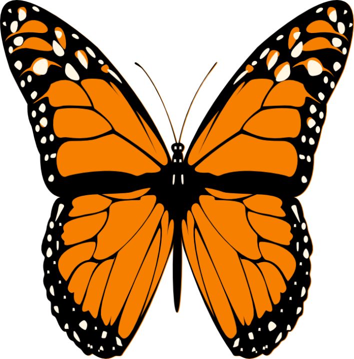 BUTTERFLY CLIP ART.