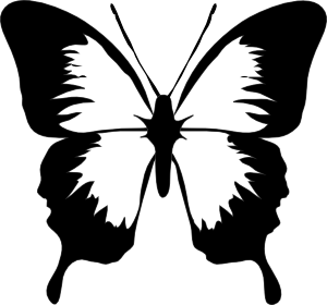 Butterfly Clipart.