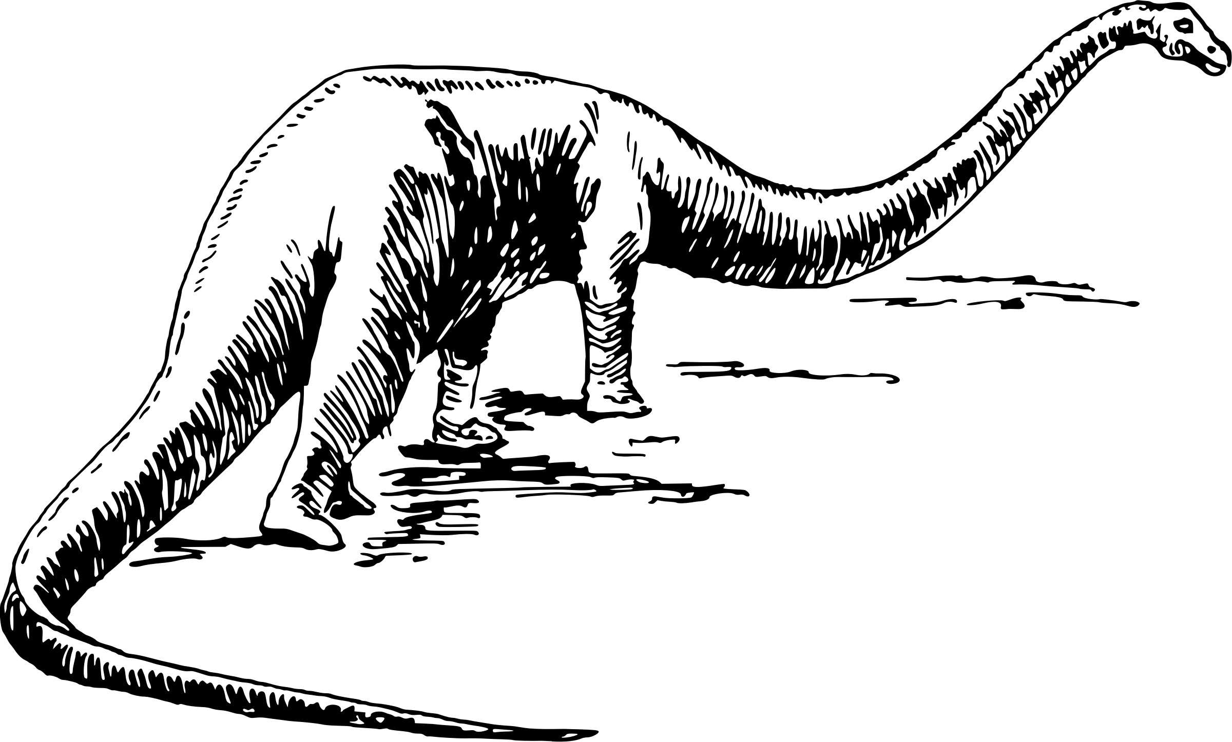 Large Sauropod Dinosaur vector clipart image.