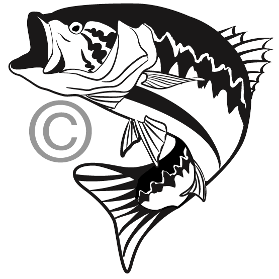 60+ Largemouth Bass Clip Art.