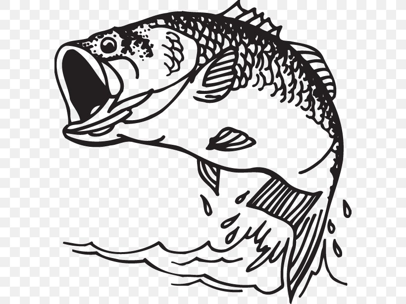 Download largemouth bass clipart black and white 10 free Cliparts ...