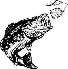 1586 Bass free clipart.