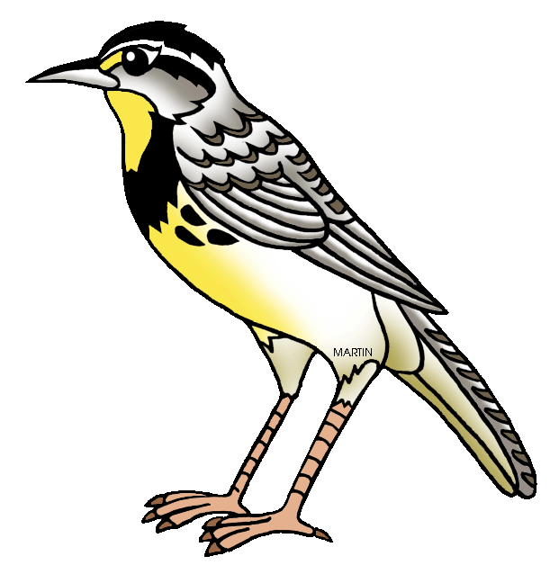 Free United States Clip Art by Phillip Martin, State Bird of.