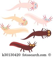 Larval stage Clipart and Illustration. 18 larval stage clip art.