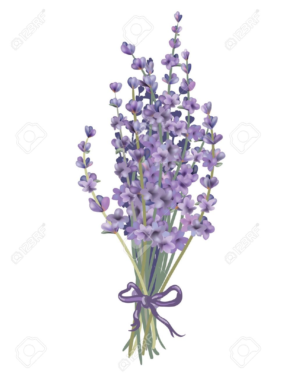 Lavender Images & Stock Pictures. Royalty Free Lavender Photos And.