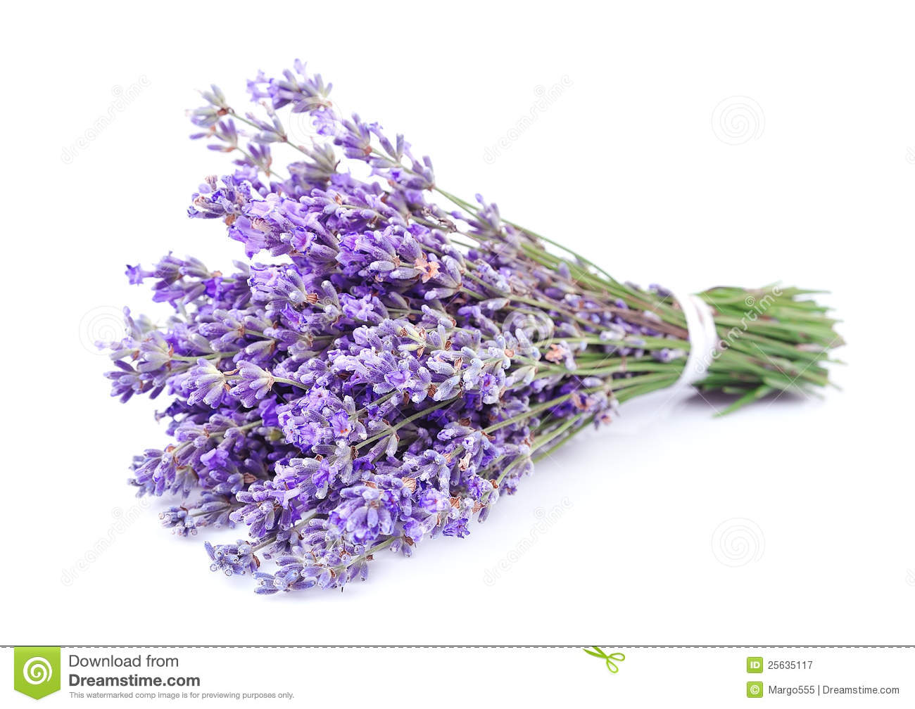 Lavender bunch clipart 20 free Cliparts | Download images on Clipground ...