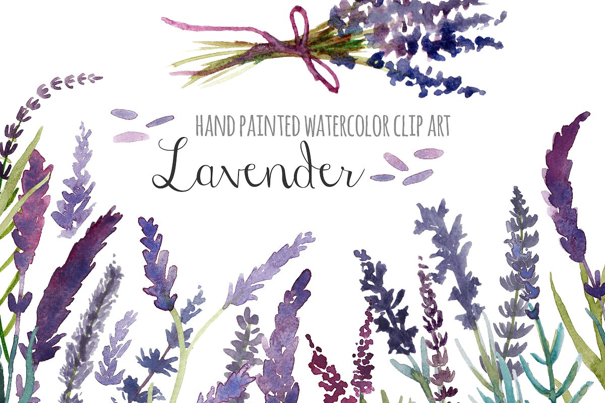 Hand-painted Lavender