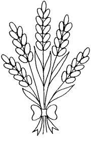 Image result for lavender clipart black and white.