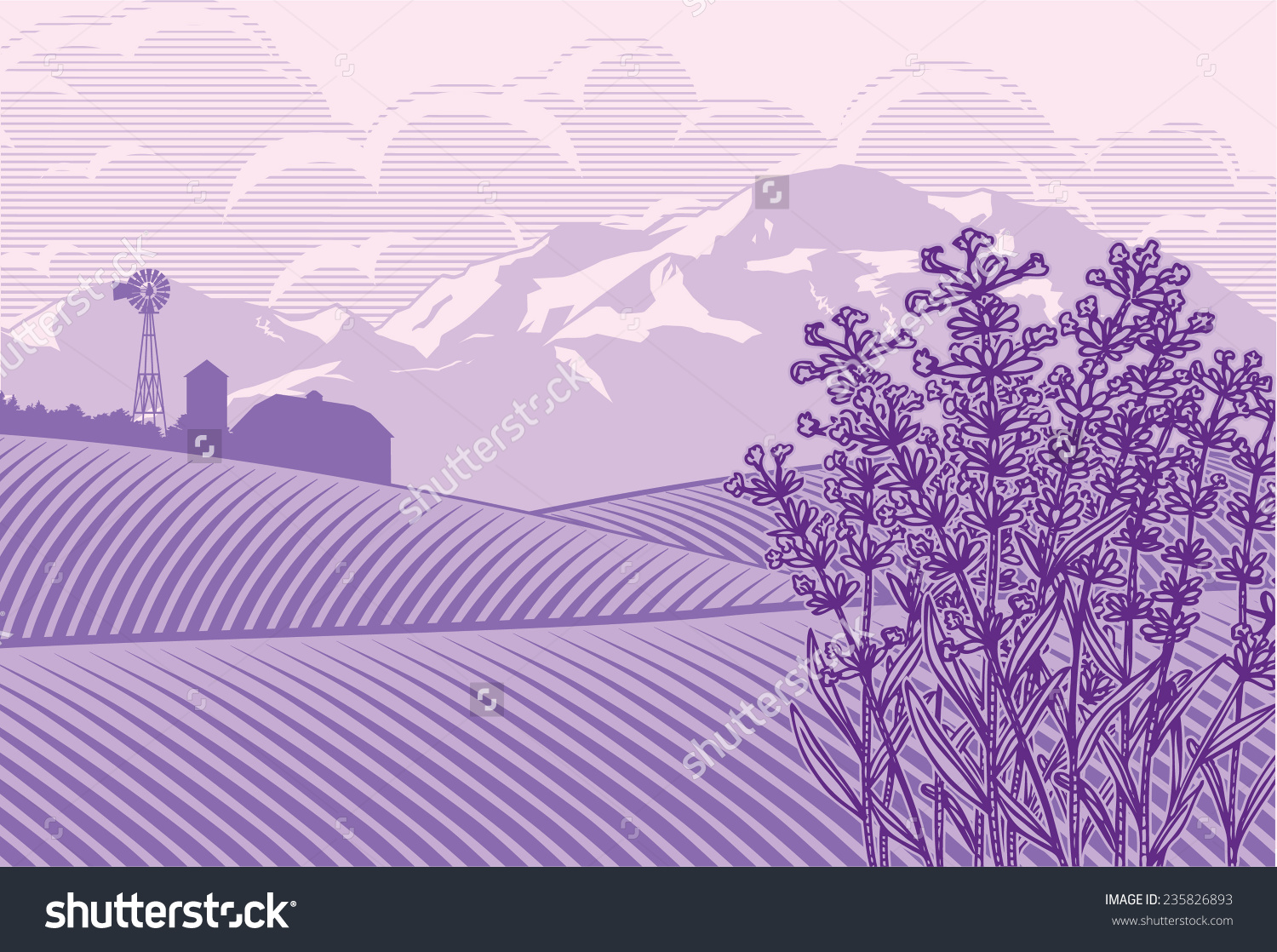 Lavender field clipart hd.