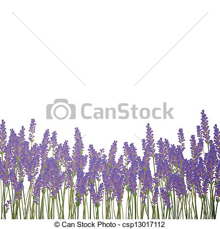 Lavender field clipart.