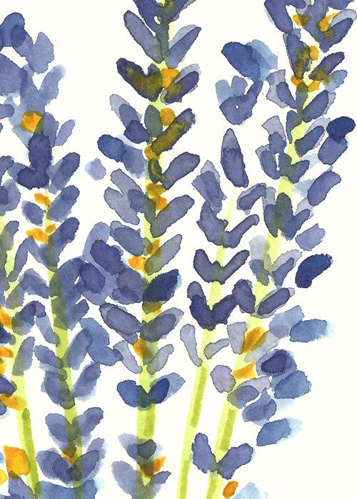 1000+ images about ♥ Lavender & Olive ♥ on Pinterest.