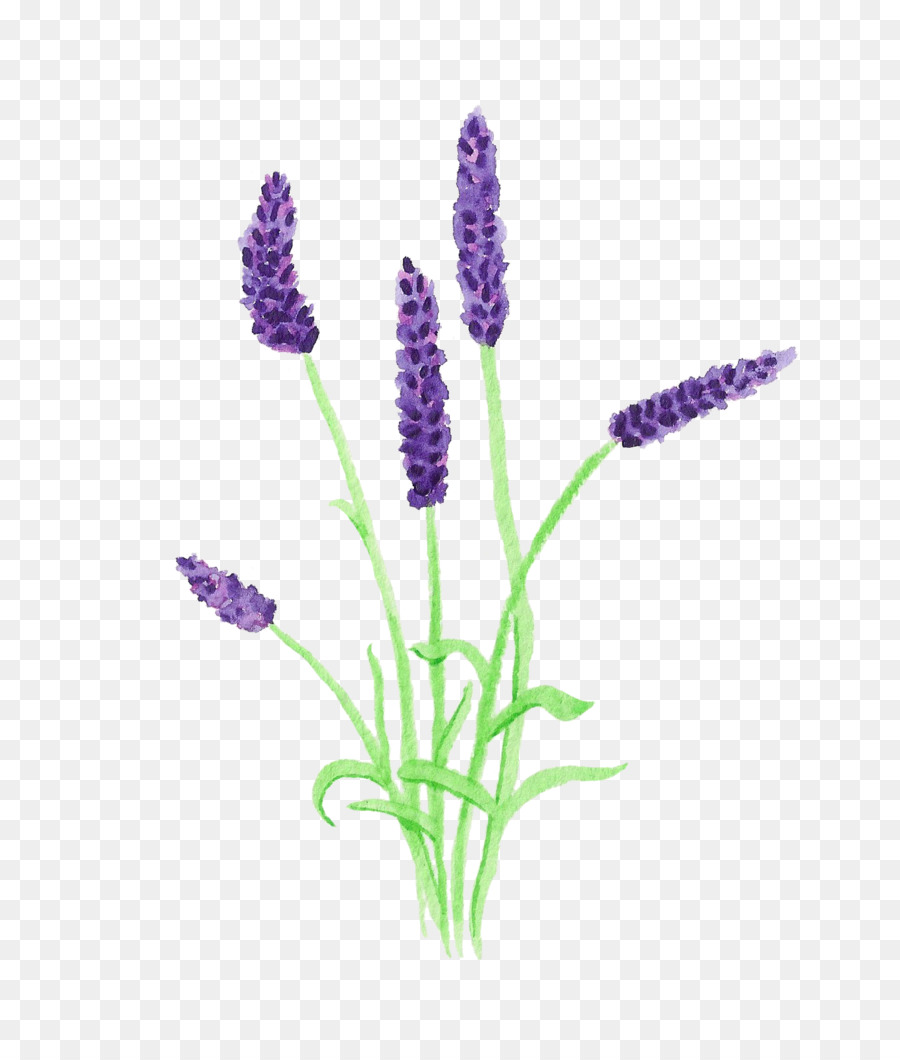 lavender plant clip art 10 free Cliparts | Download images on