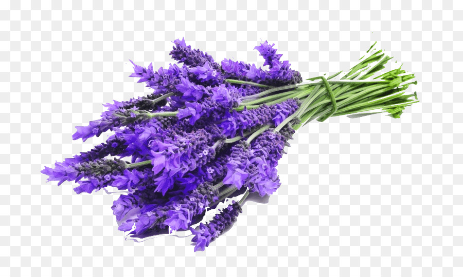 lavender png images 10 free Cliparts | Download images on Clipground 2021