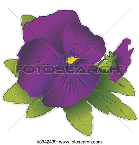 Clip Art of Lavender Pansy Flowers k8638109.