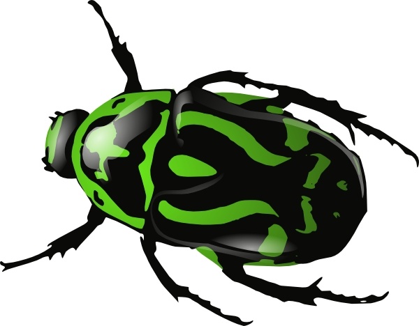Beetle Clip Art & Beetle Clip Art Clip Art Images.