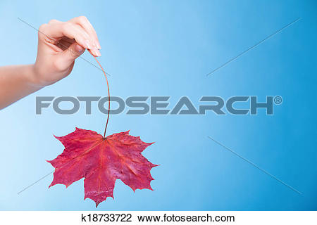Stock Photo of Skincare. Female hand holding leaf as symbol of red.