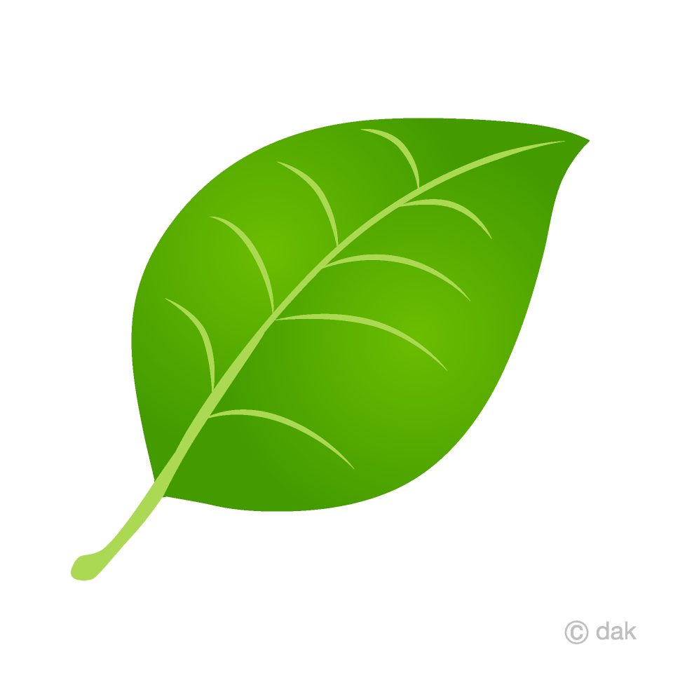 Free Glossy Leaf Clipart Image｜Illustoon.