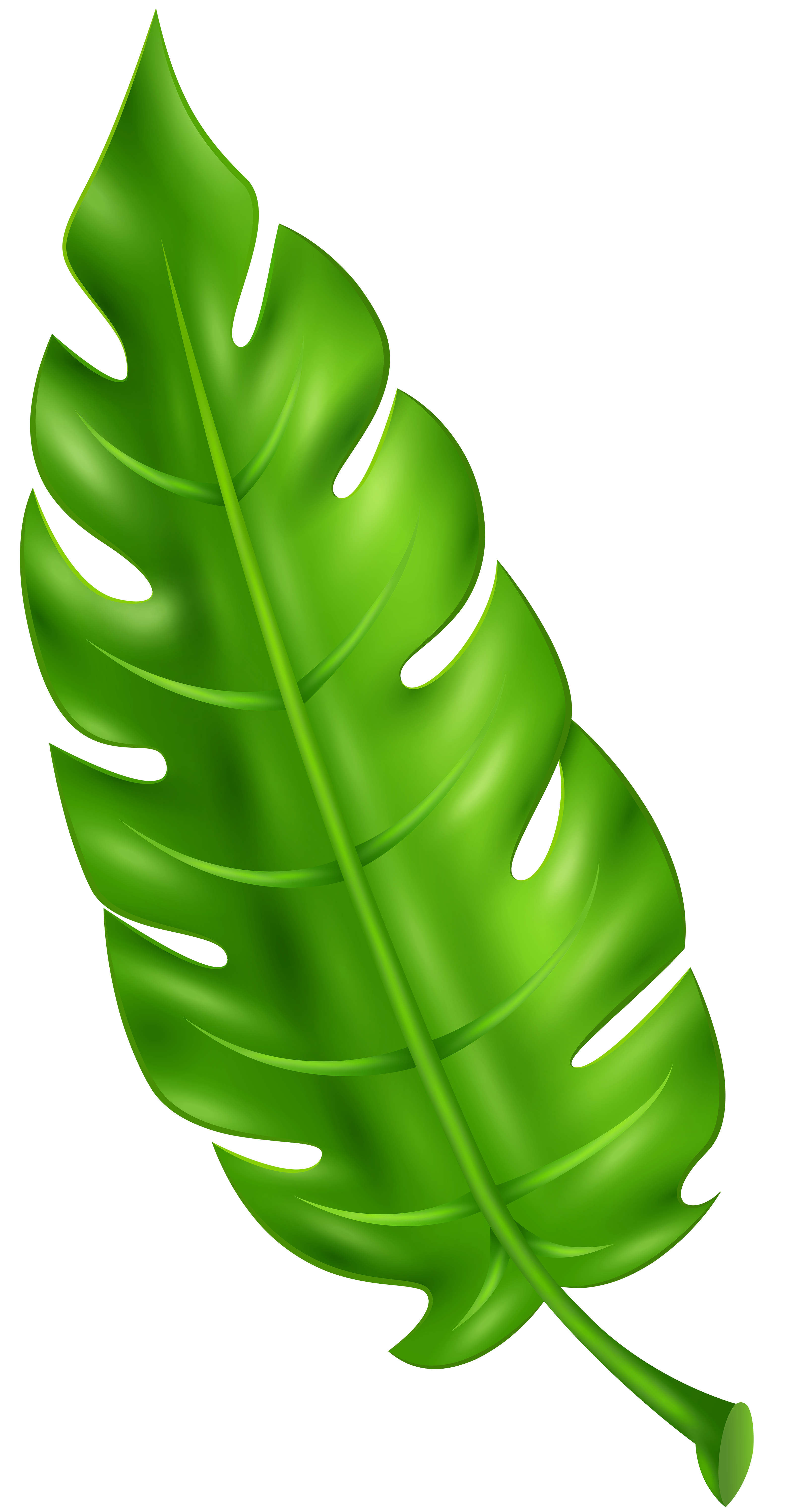 Exotic Green Leaf Clip Art PNG Image.