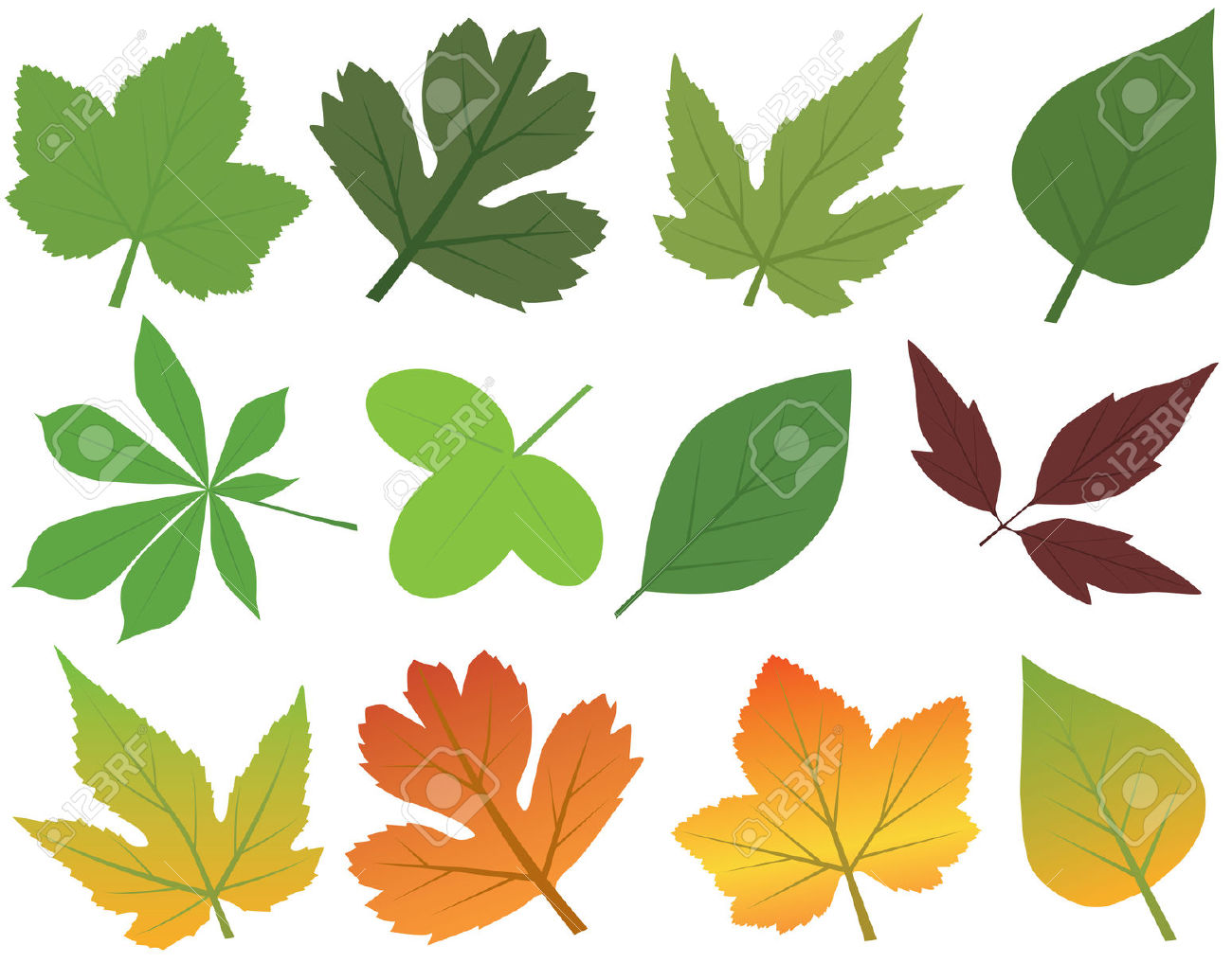 Download Leaf collection clipart 20 free Cliparts | Download images ...