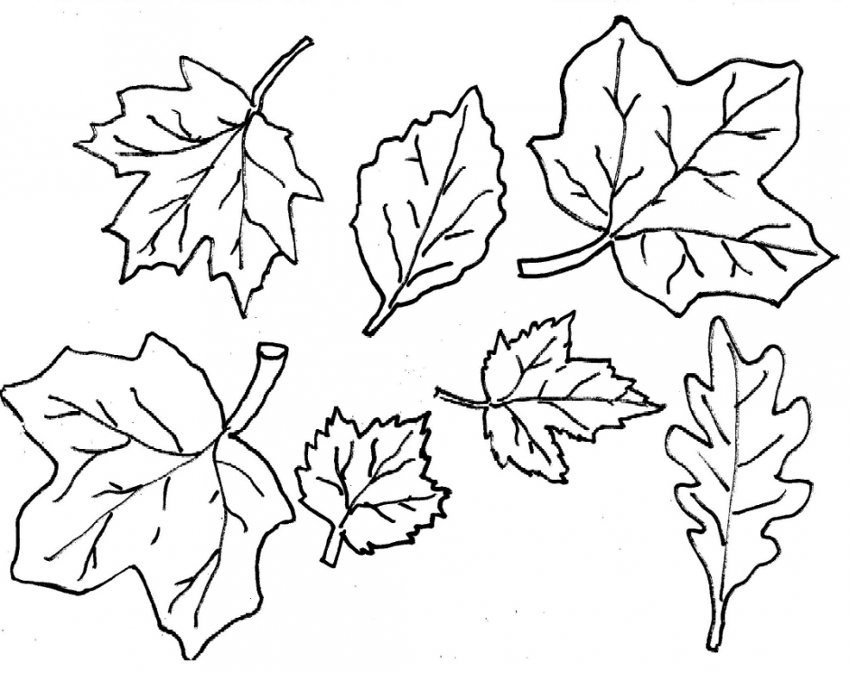 leaf-color-clipart-20-free-cliparts-download-images-on-clipground-2023