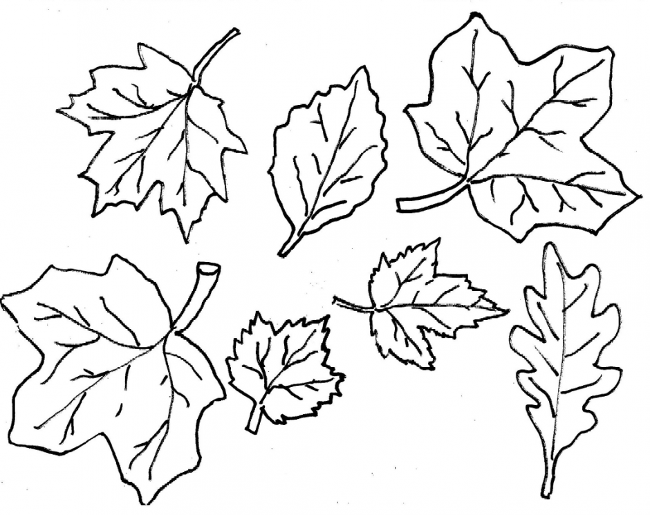 Leaf Color Clipart 20 Free Cliparts Download Images On Clipground 2023
