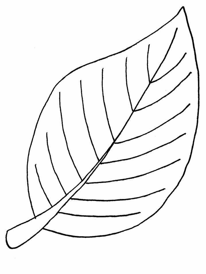 Free Printable Leaf Coloring Pages For Kids.