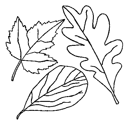 Fall Leaf Coloring Pages.
