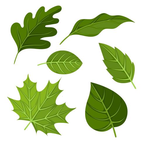 Green Leaves Clipart Set Vector.