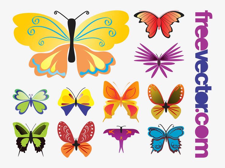 1000+ images about ¸¸.Ƹ̴Ӂ̴Ʒ.~Butterflies~.Ƹ̴Ӂ̴Ʒ..¸¸ on Pinterest.